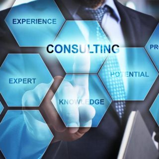 What are the business consultancy services? Finnex Singapore