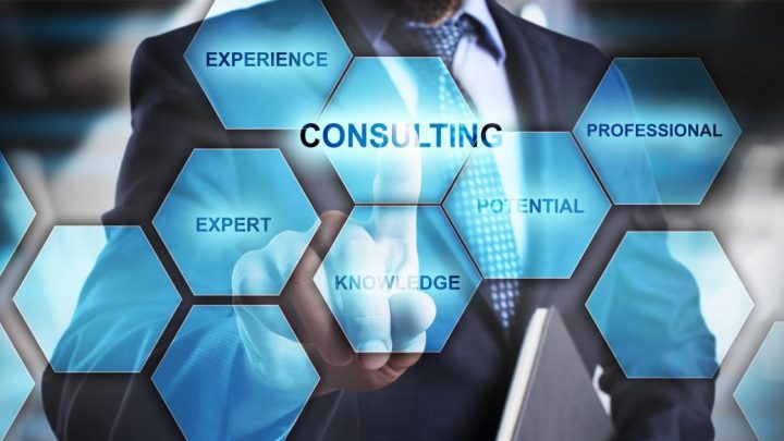 What are the business consultancy services? Finnex Singapore