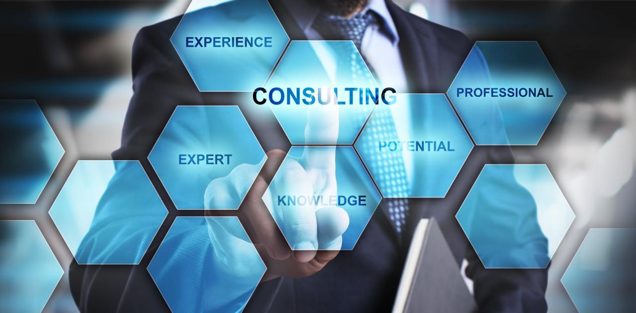 What are the business consultancy services? Finnex Singapore